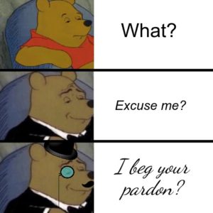 What? Excuse me? I beg your pardon?